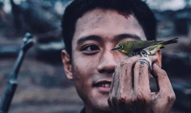 10 phim Việt ăn khách nhất năm 2025